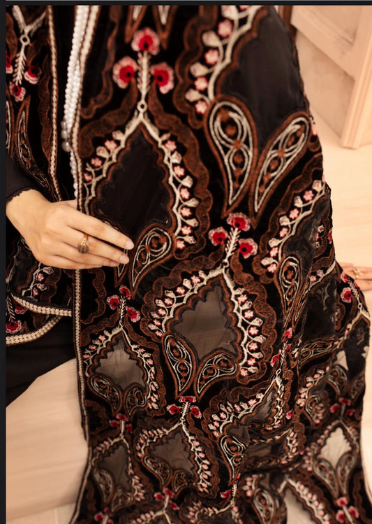 Hana 004- Dhanak with velvet laserkari shawl