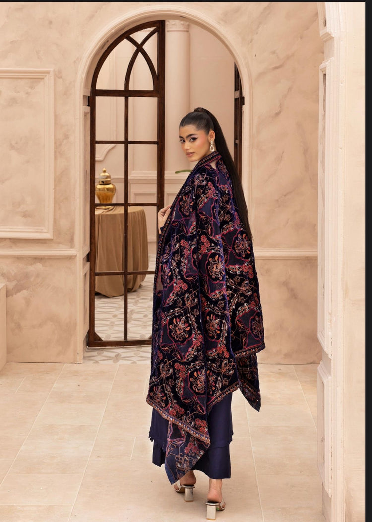 Hana 002-Dhanak with velvet laserkari shawl