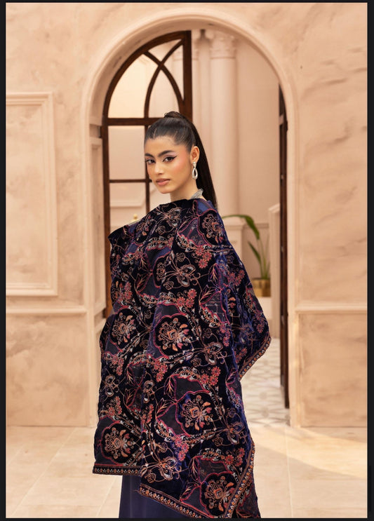 Hana 002-Dhanak with velvet laserkari shawl