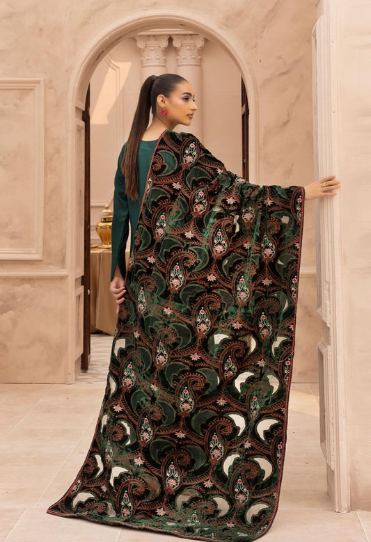 Hana 001-Dhanak with velvet laserkari shawl