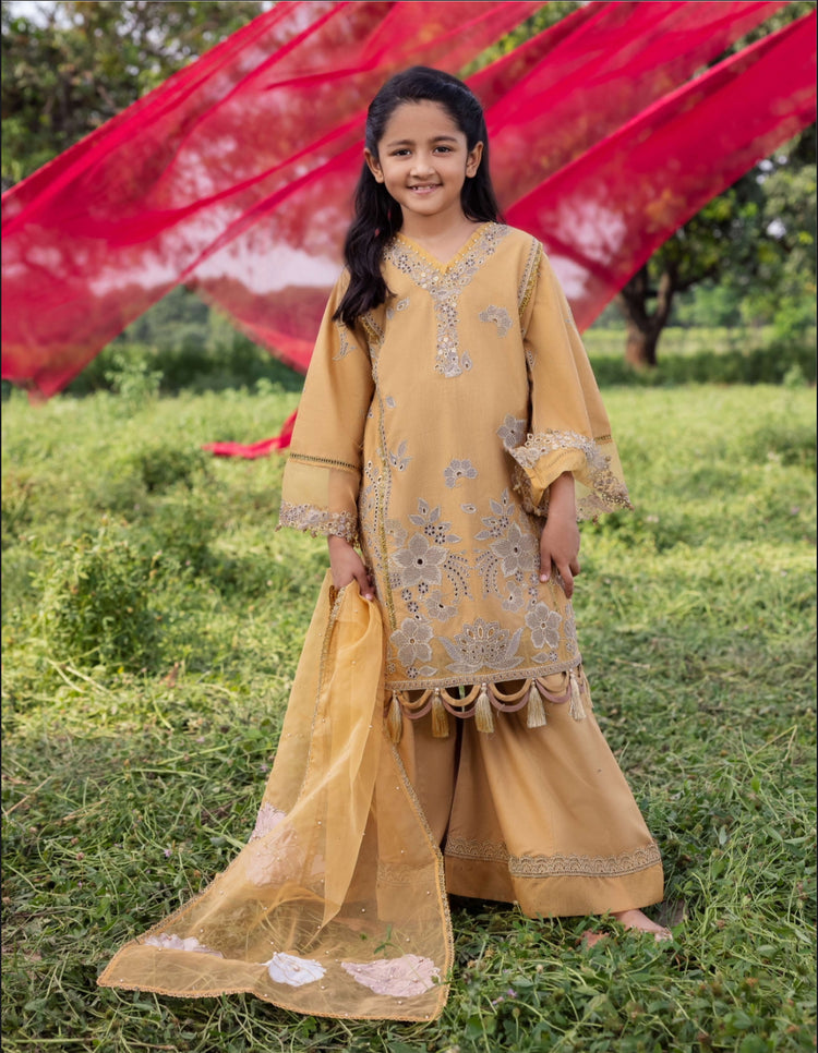 Heer x Ayeza Khan Kids AL1027