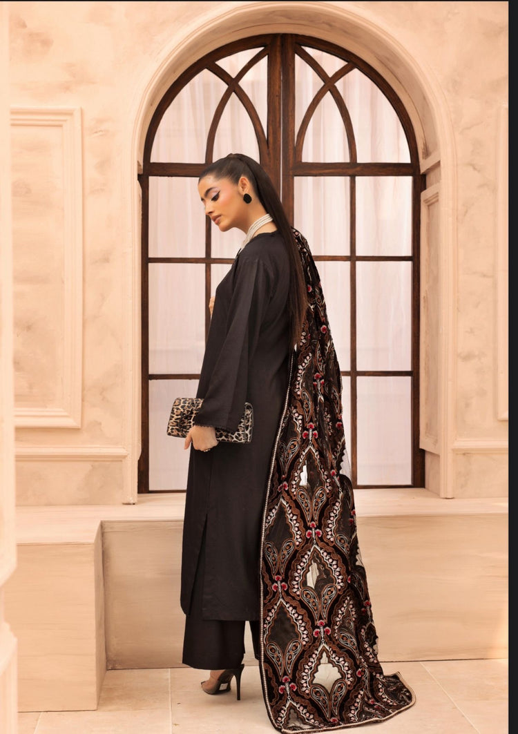 Hana 004- Dhanak with velvet laserkari shawl