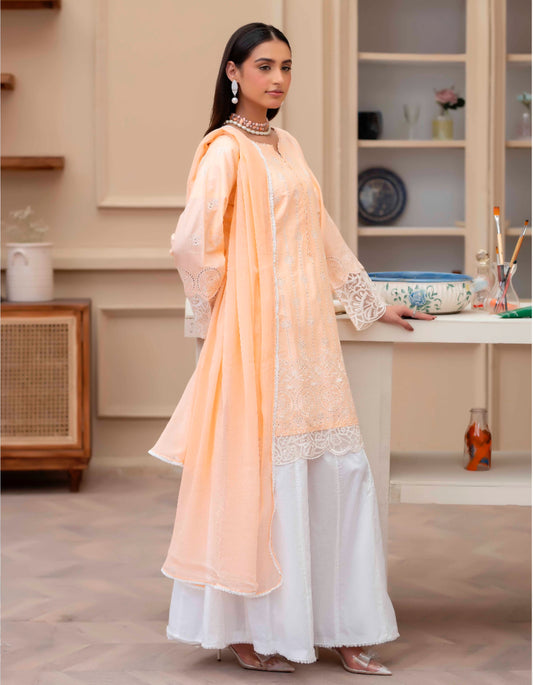 Aliyaa Chikankari Lawn 003- peach