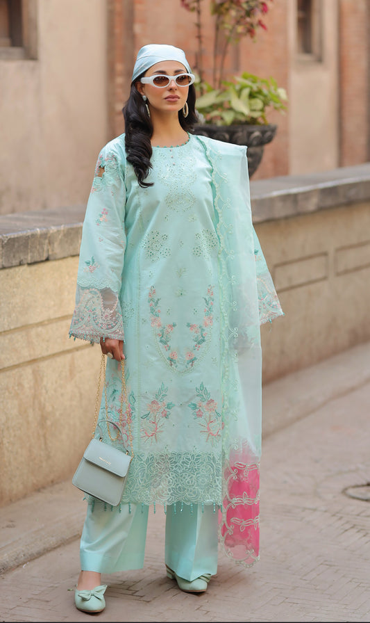 Bazar Kahani AL981 Ladies