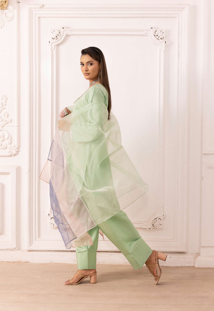 Farshi suit- mint