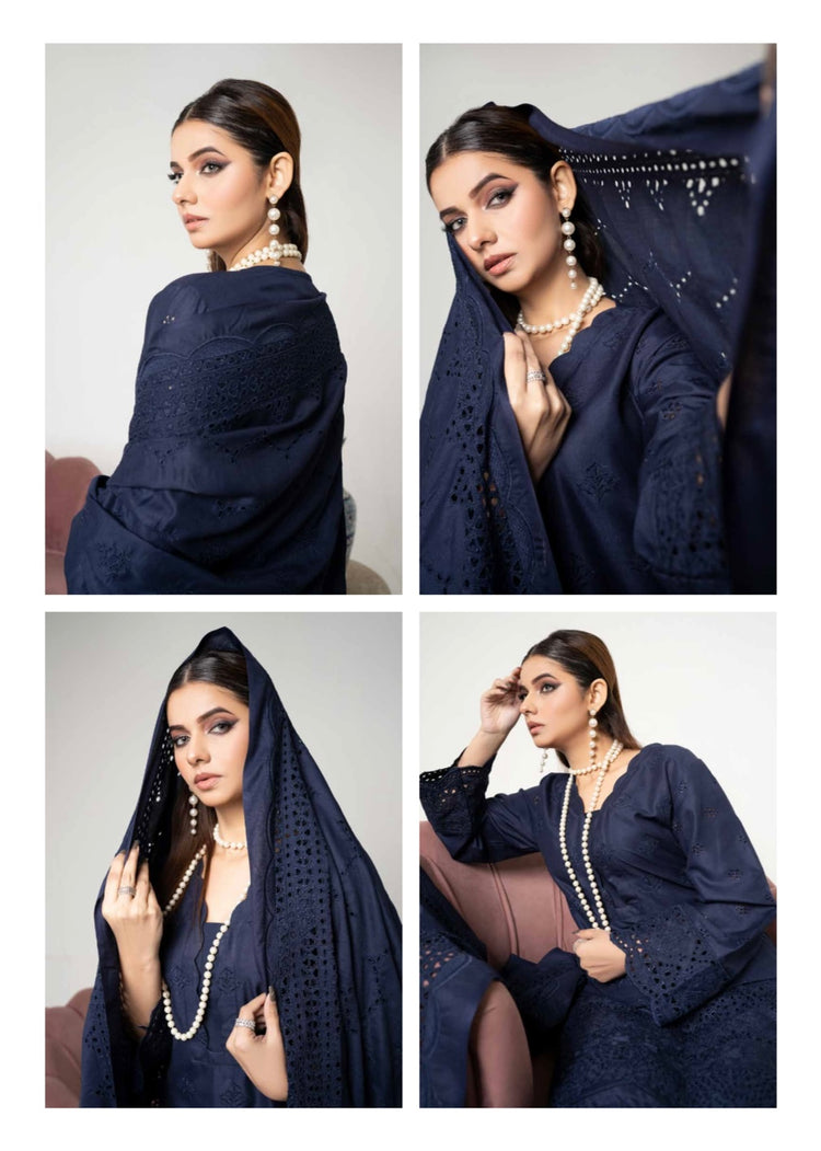 Dhannak Chikankari 04