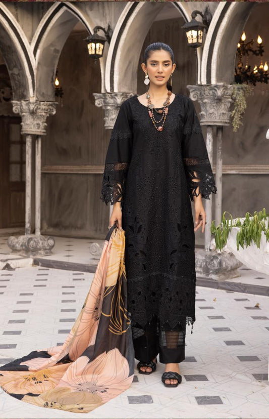 Rang Rasiya chikankari 02
