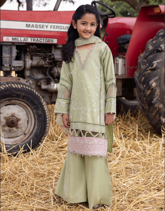 Heer x Ayeza Khan kids AL1026