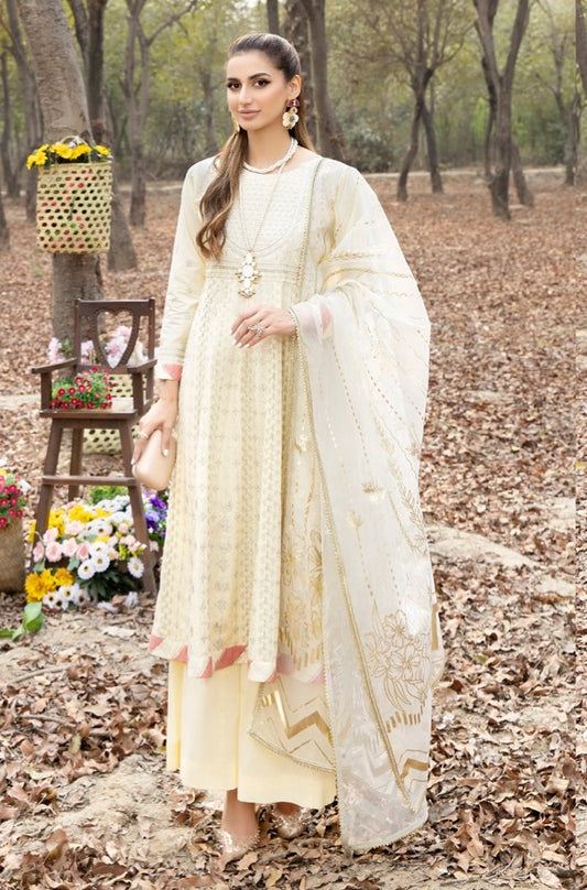 Eid Chikankari AL578 Ladies